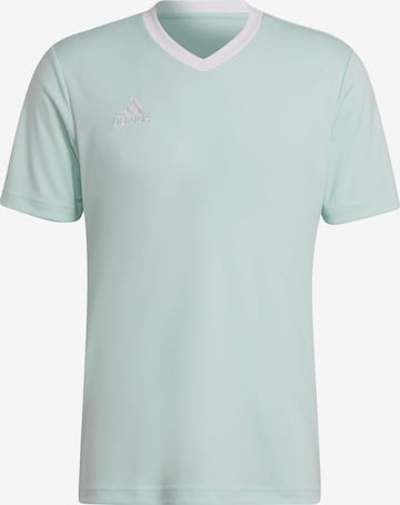 ADIDAS SPORTSWEAR Sportshirt 'Entrada 22' in Grün: predná strana