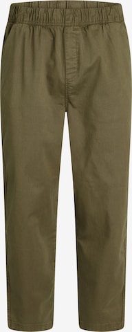 Redefined Rebel Loose fit Pants 'Arian' in Green: front