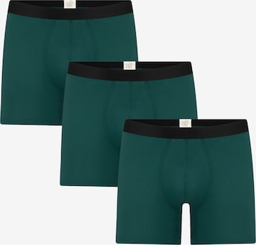 Albero Natur Long Johns 'Long underpants 'Bio-Baumwoll-Herren Long Trunks - 3er Pack'' in Green: front
