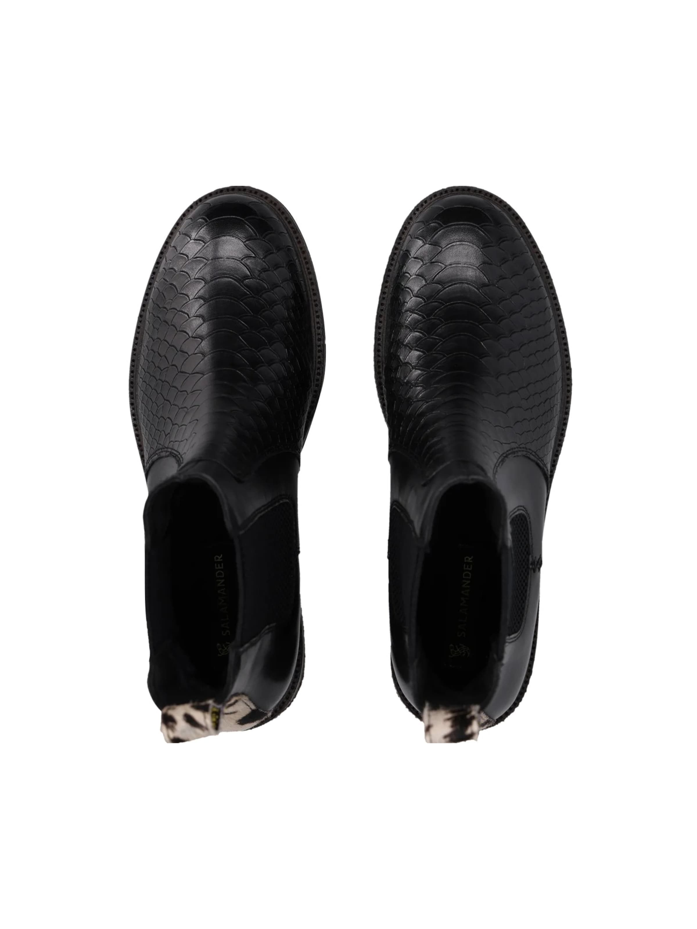 SALAMANDER - Botas chelsea em preto
