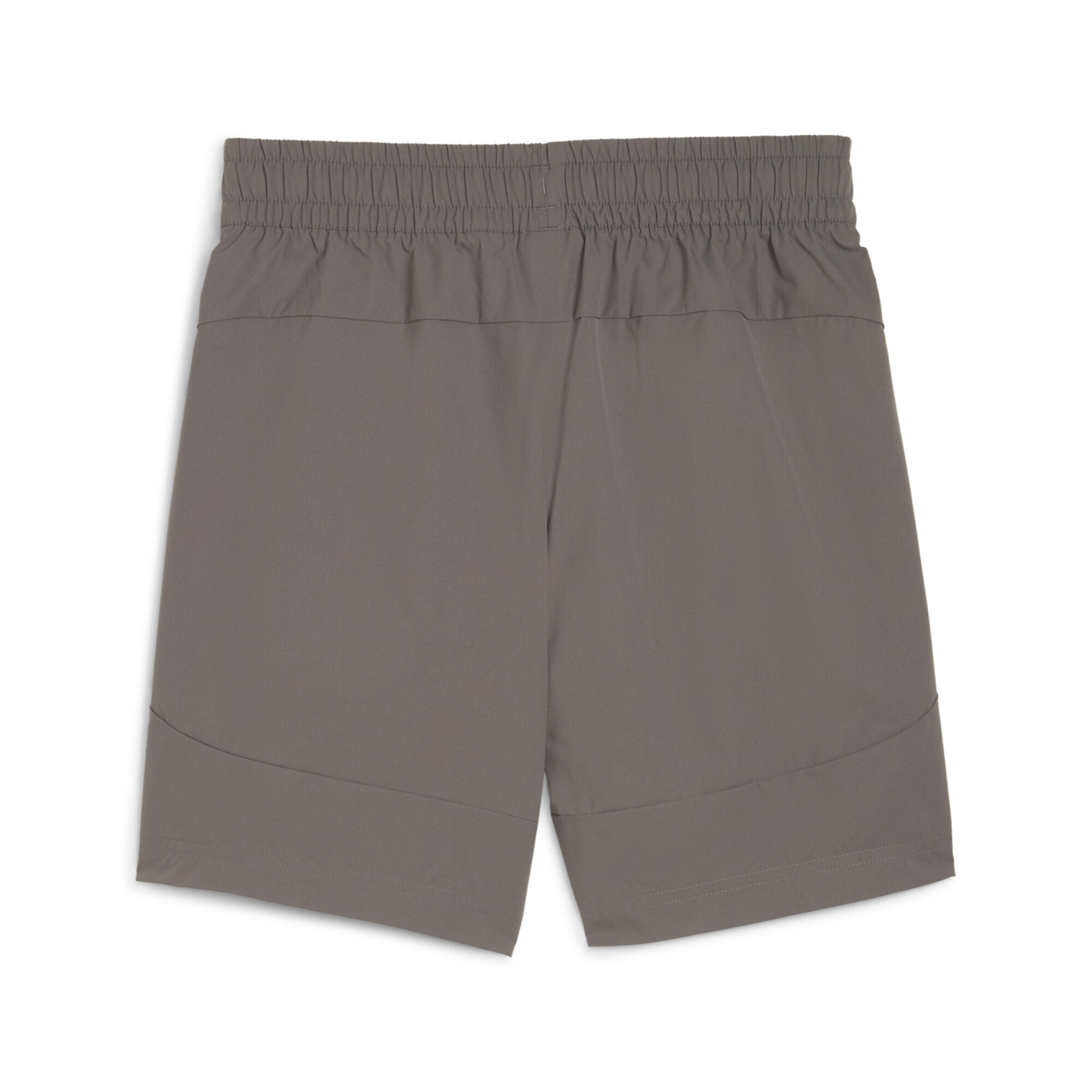 PUMA Regular Workout Pants 'Borussia Dortmund' in Grey