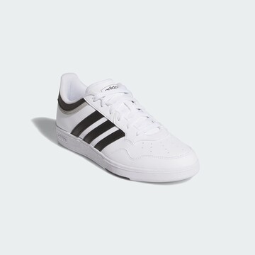 ADIDAS SPORTSWEAR Platform trainers 'Hoops 4.0' in White