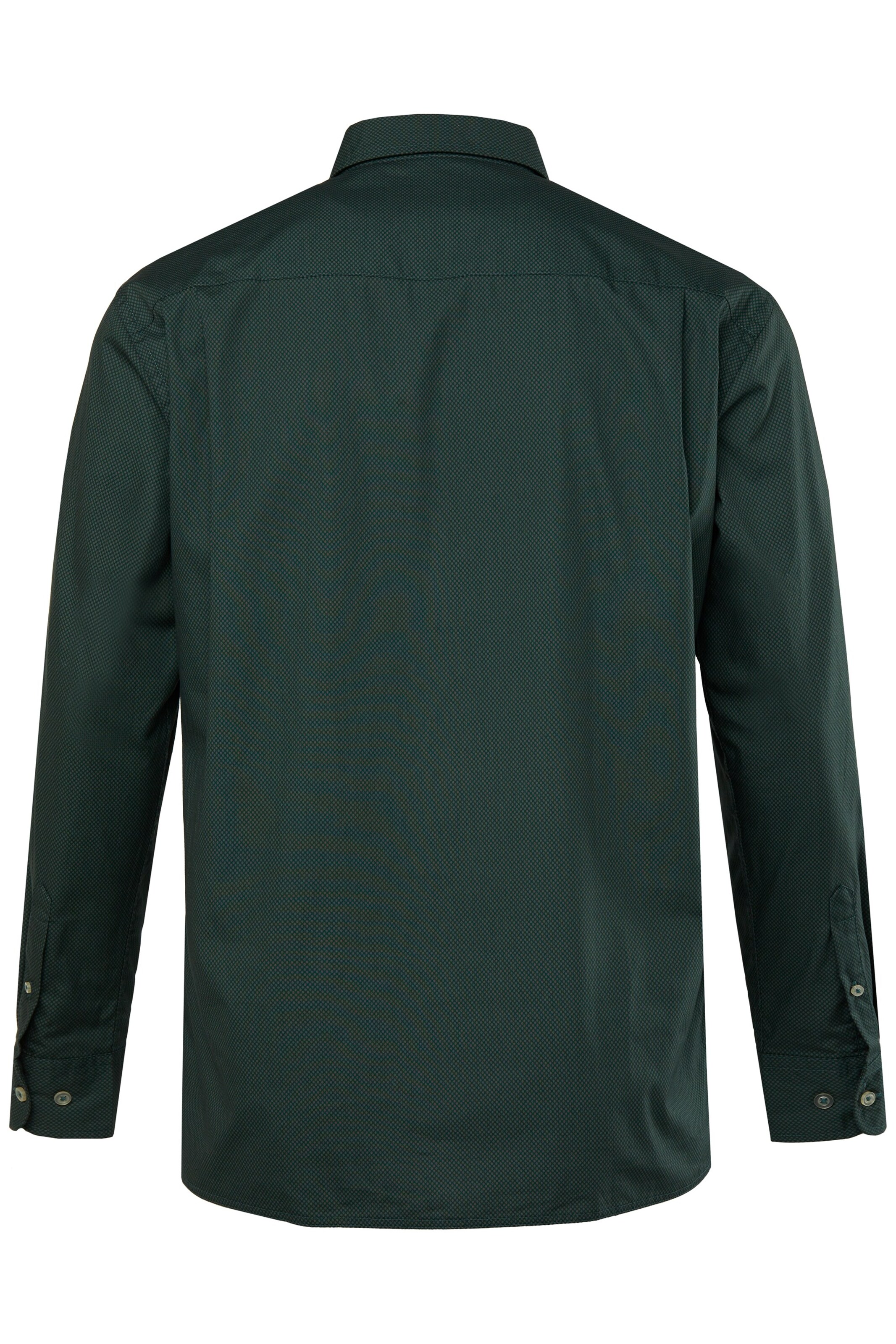 Boston Park Regular fit Button Up Shirt in Green