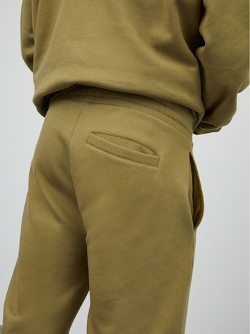 Regular Pantalon 'Tino' DAN FOX APPAREL en vert