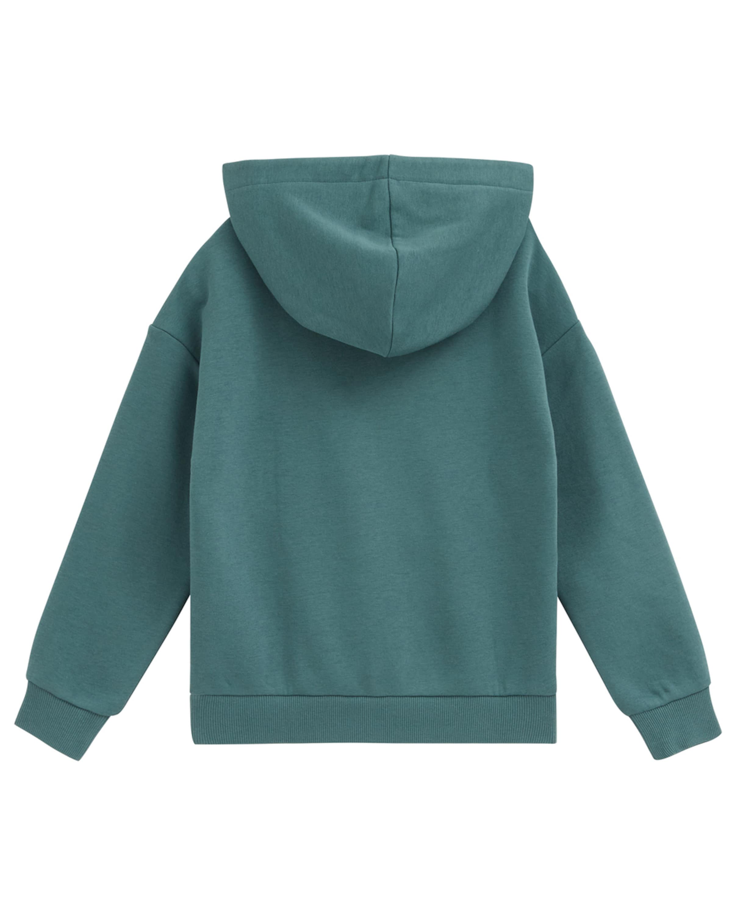 WE Fashion Sweatshirt in Groen