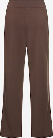 CAMEL ACTIVE Pants in Brown: front