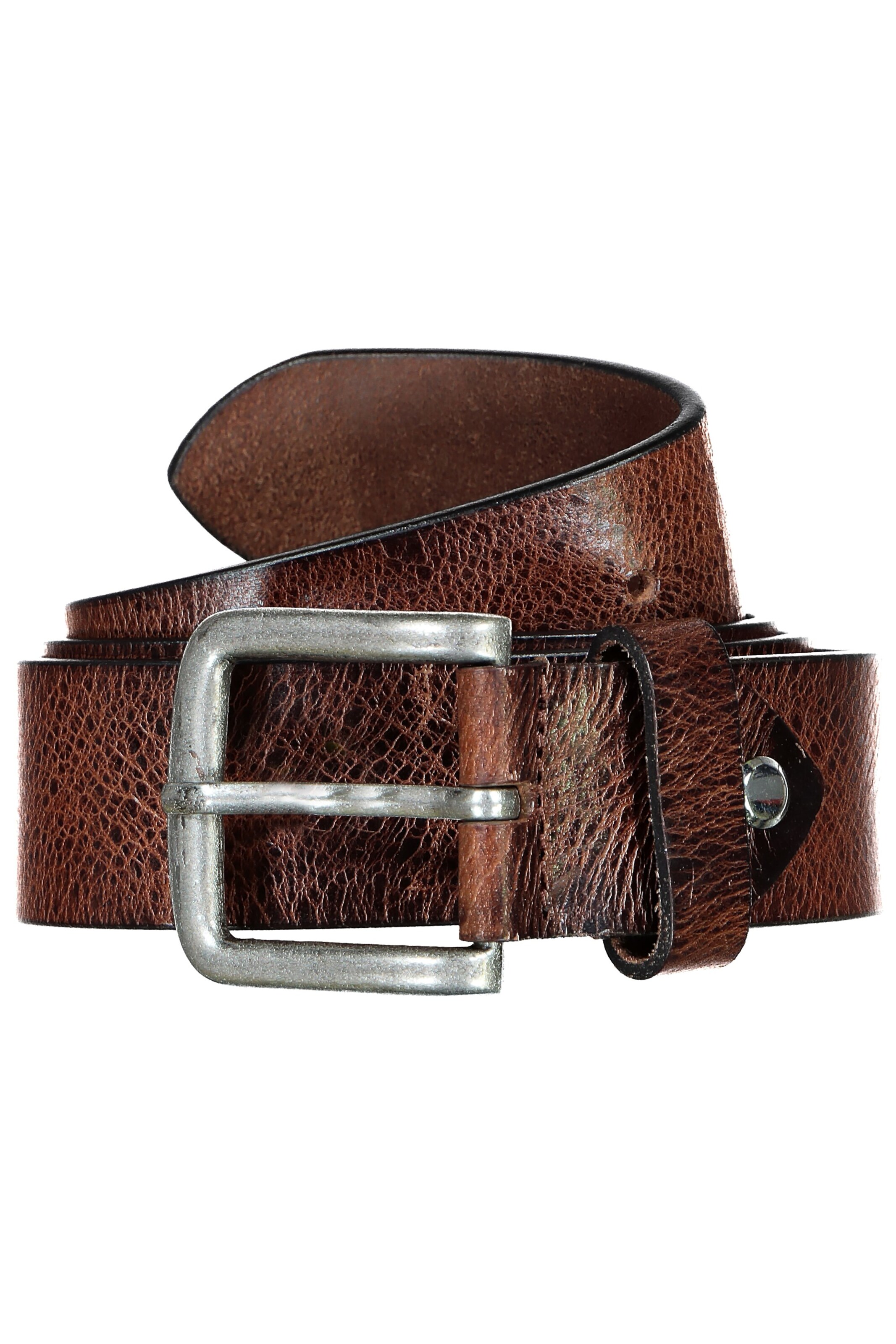JP1880 Riem in Bruin: voorkant