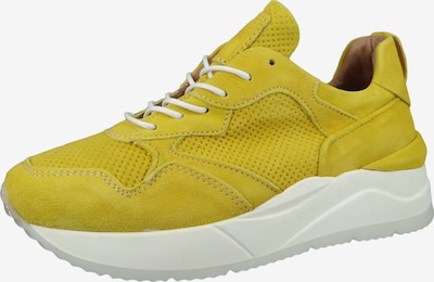 MJUS Sneaker 'Kinex' in 37 in senf, Produktansicht