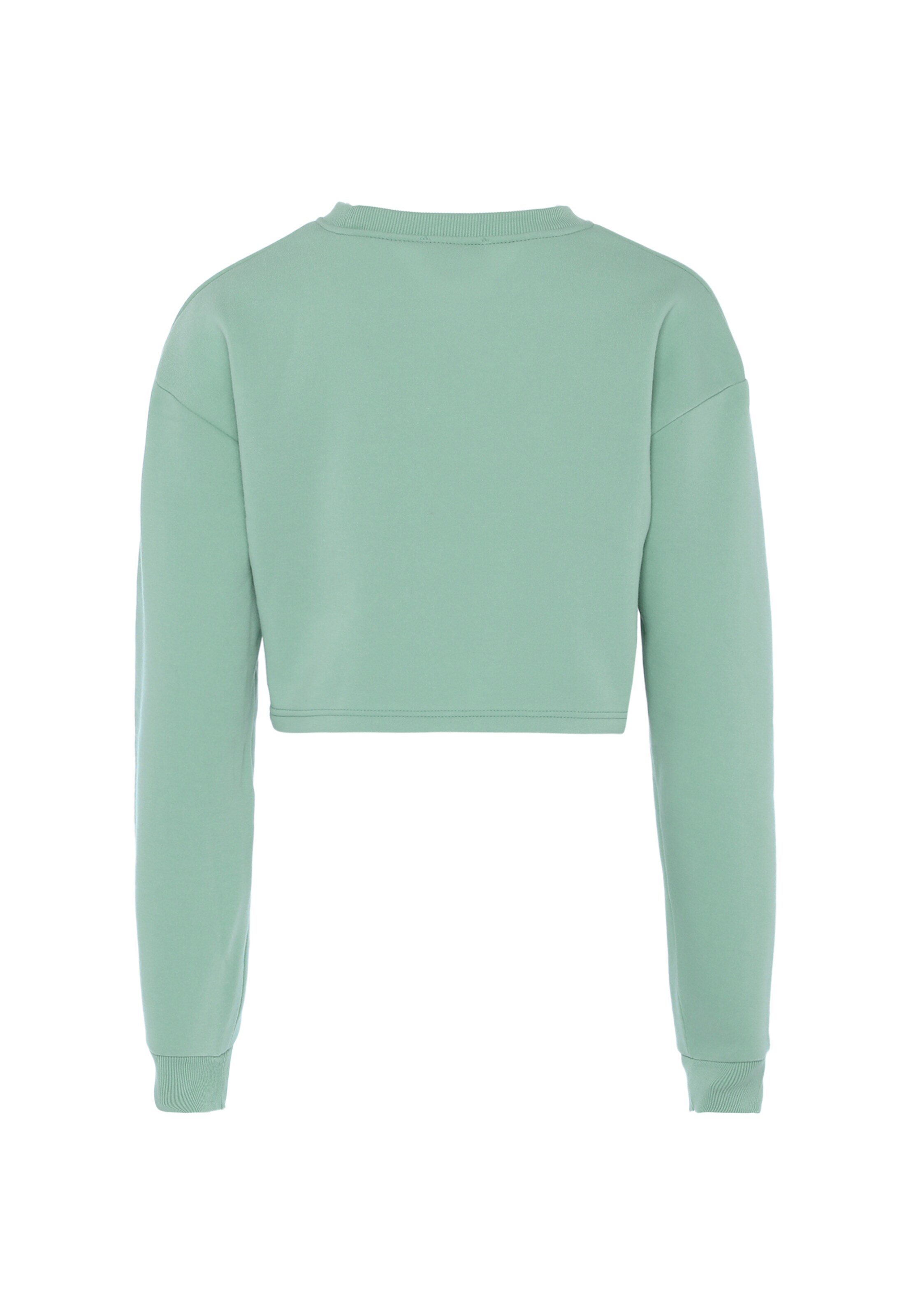 Colina Свитшот в Зеленый