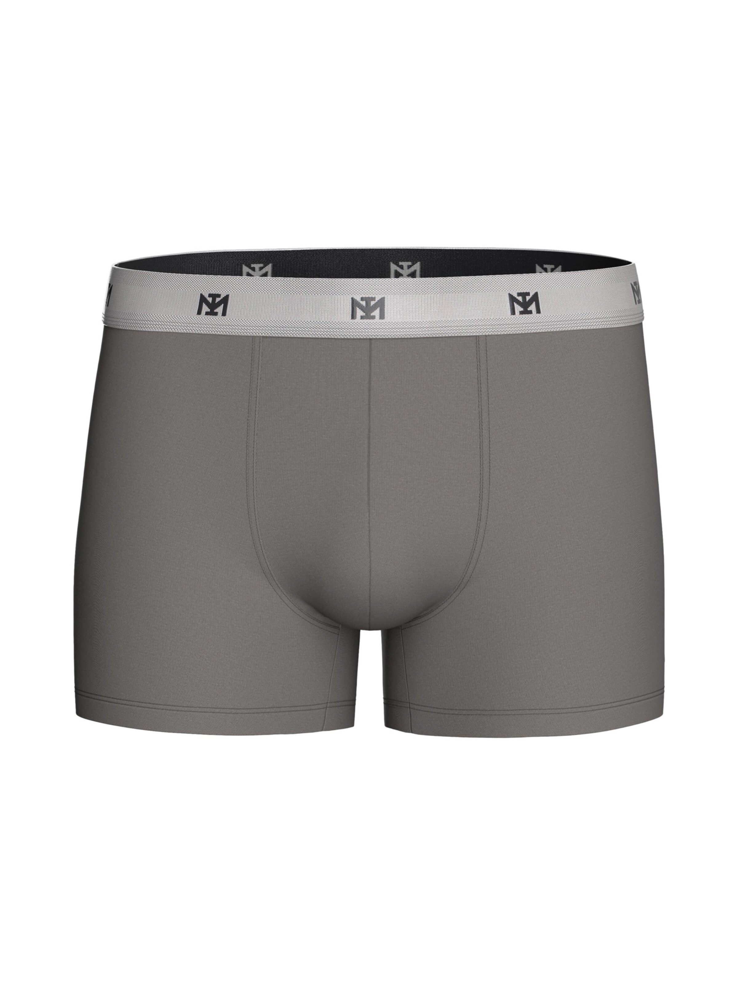 Boxers ' IM1221P11P2 ' IMPETUS en gris