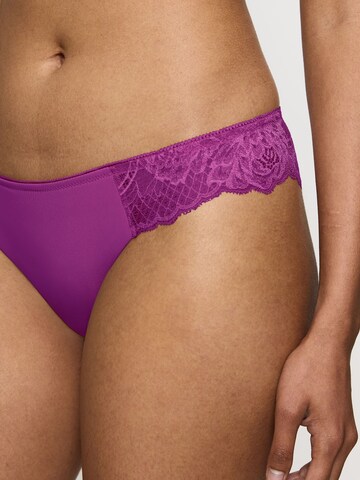TRIUMPH Slip in Purple