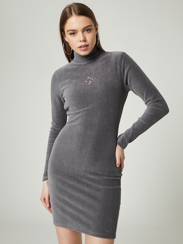 VIERVIER Dress 'Alea' in Grey: front