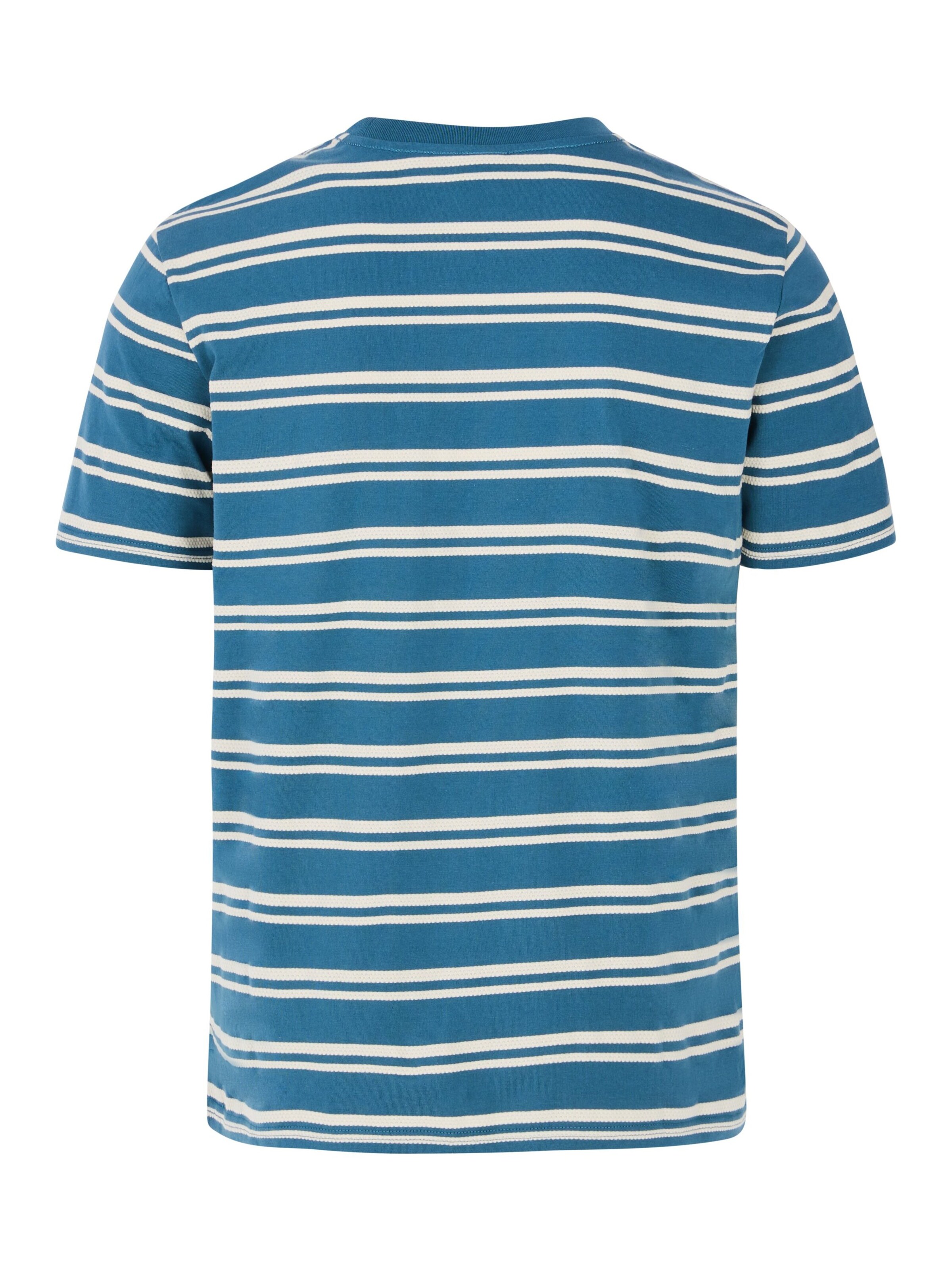 PROTEST Shirt 'PRTGuino'‌‌‌‌‌‌‌‌‌ in Blau