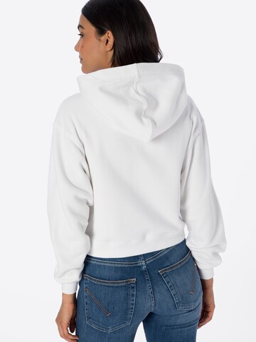 AllSaints Sweatshirt 'LORNA PIPPA' in Weiß