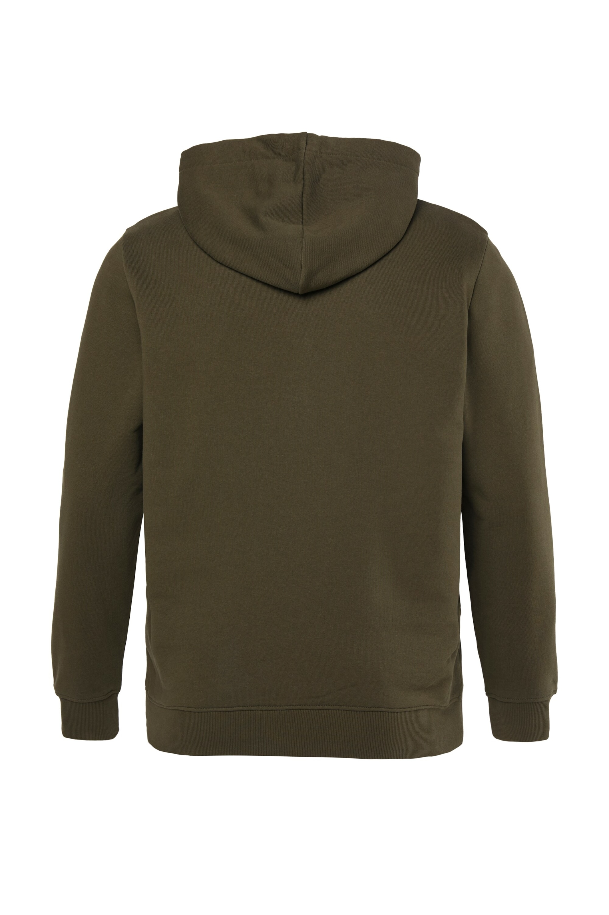 Men Plus Sweatshirt in Grün
