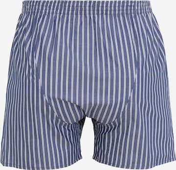 D.E.A.L International Boxer shorts in Blue