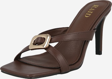 Raid Klapki 'GINELLI' w kolorze brązowy: przód