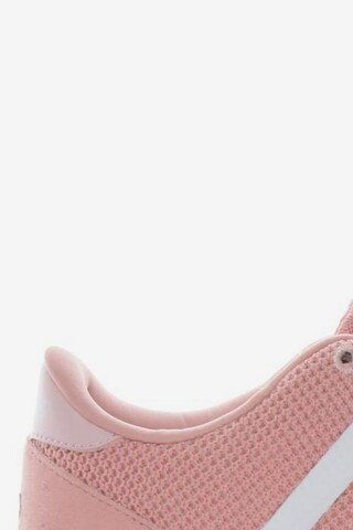 ADIDAS NEO Sneakers & Trainers in 42,5 in Pink