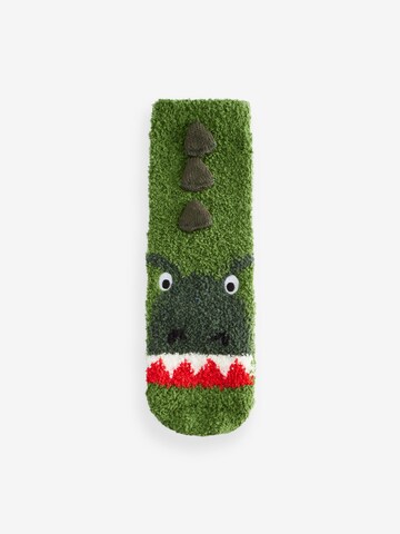Next Socks in Green