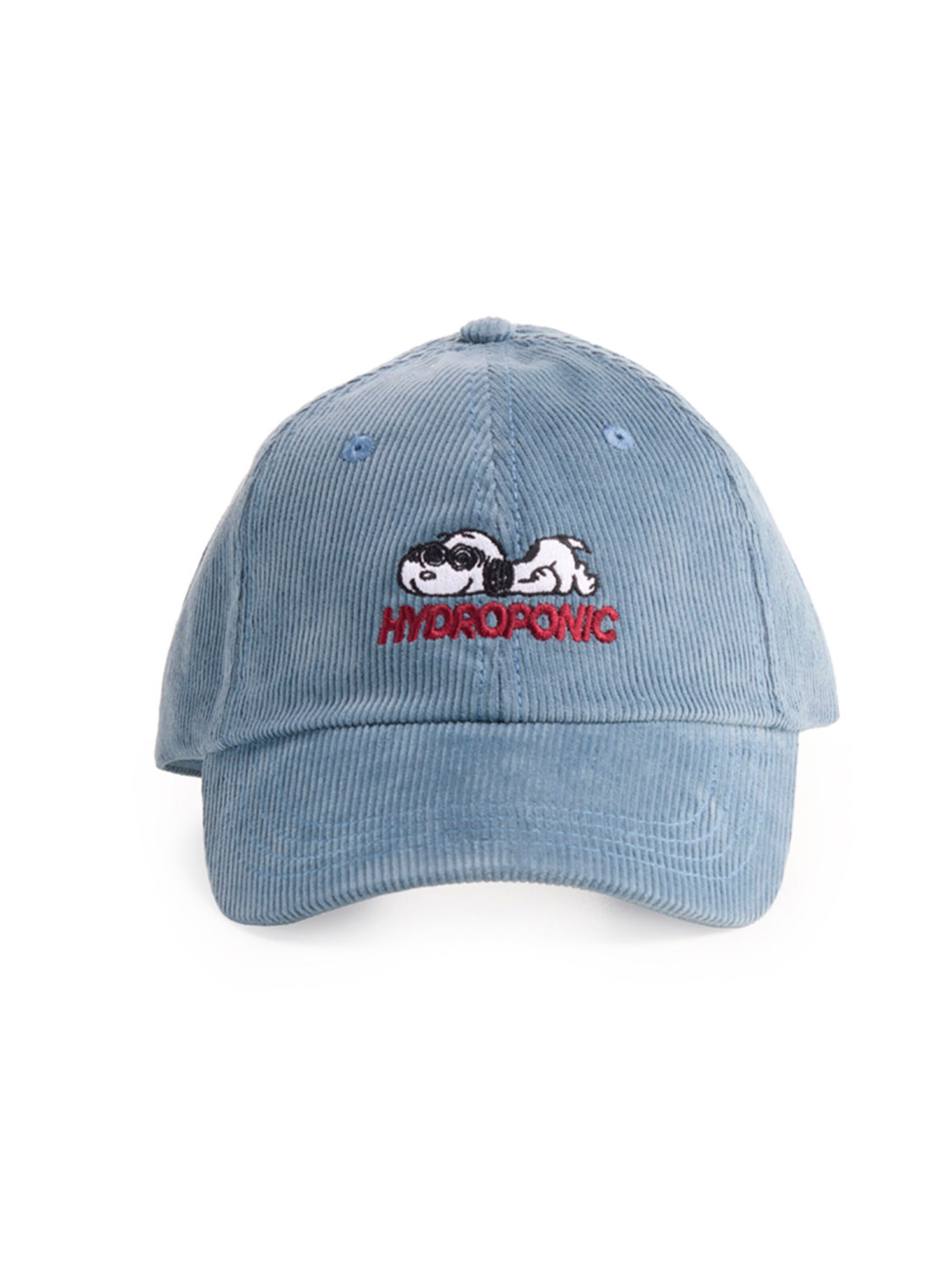 hydroponic - Gorra deportiva 'Hydroponic x Peanuts Obsessed Cap' en azul: frente