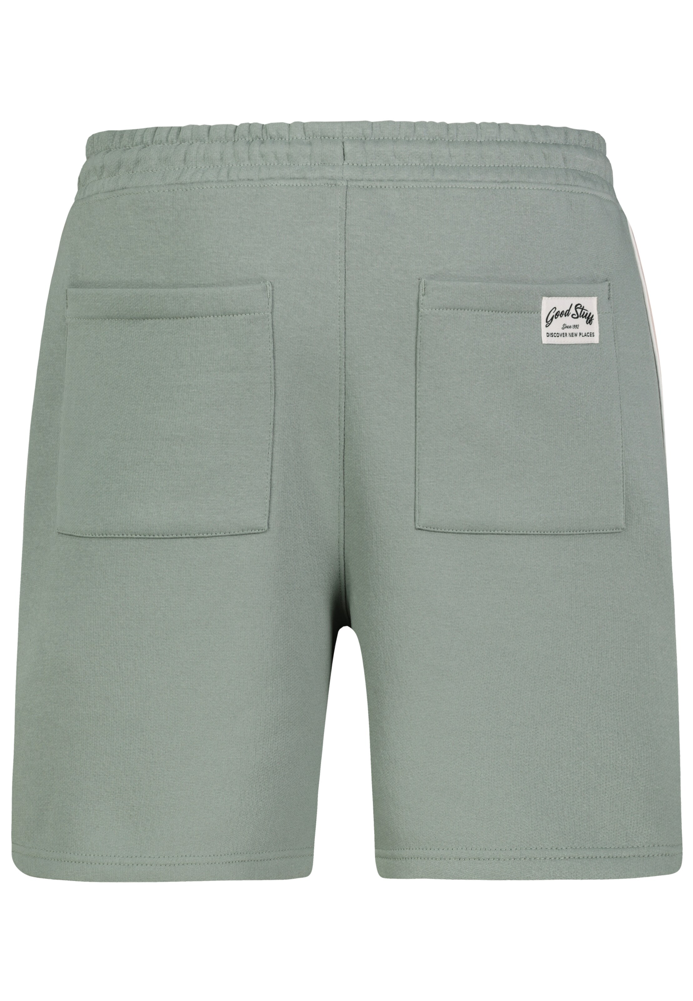 Sublevel Regular Shorts in Grün
