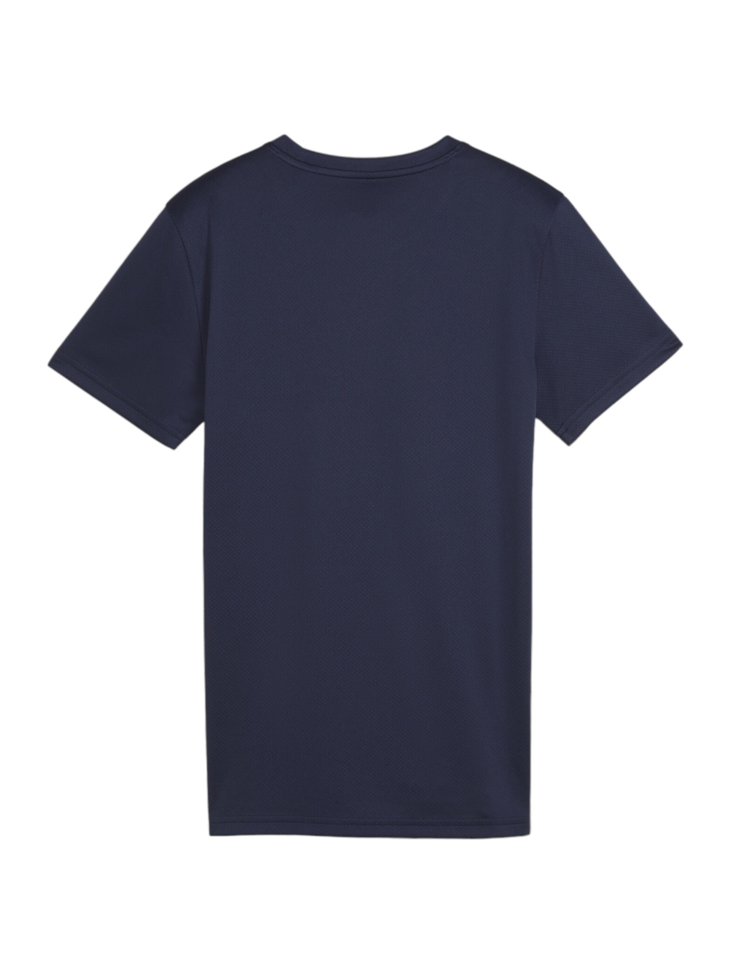 PUMA Performance Shirt in Blue