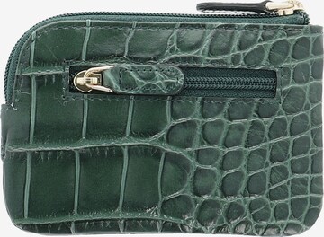 Picard Case in Green