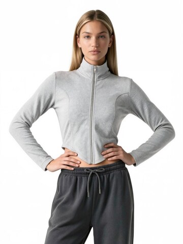 Veste de survêtement 'Sweatshirts' Hiccup en gris