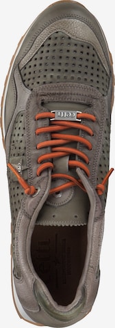 Cetti Sneaker 'C848 S M' in Grau