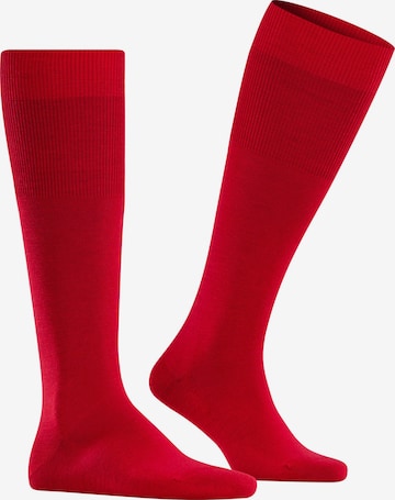 FALKE Knee High Socks 'Airport' in Red: front