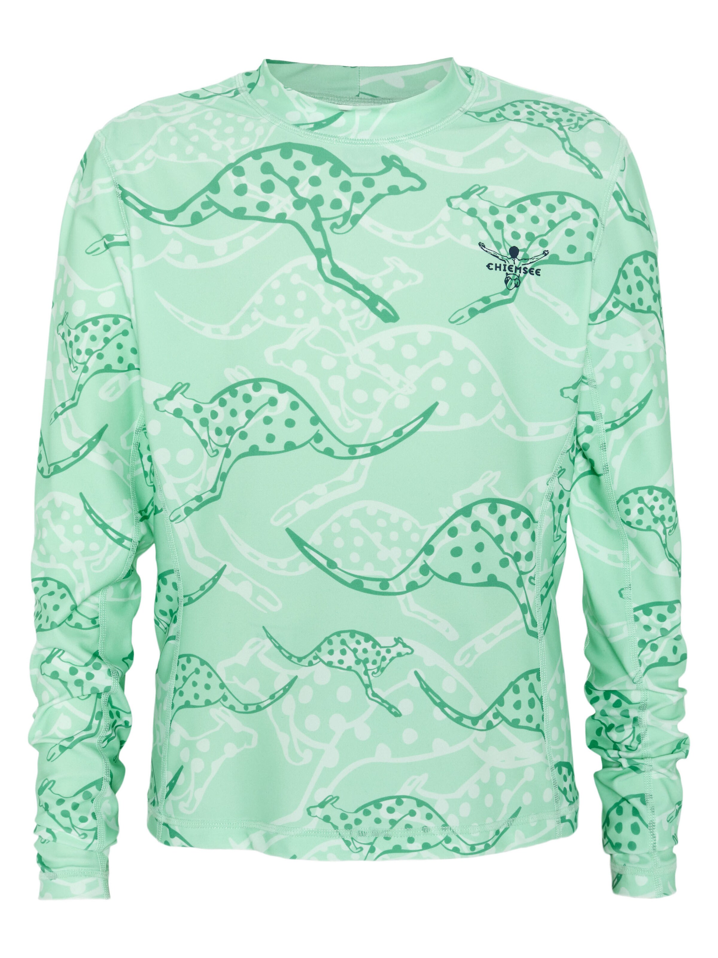 CHIEMSEE UV Protection ' mit langen Ärmeln ' in Green: front