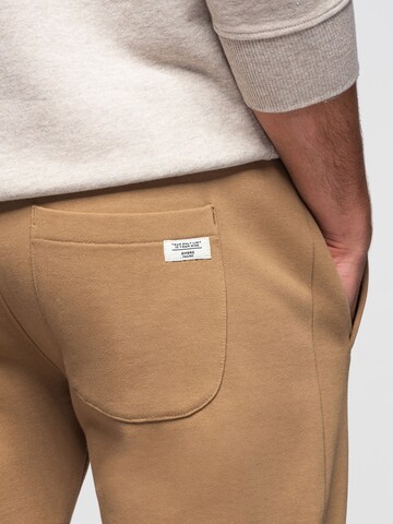 Ombre Regular Trousers in Brown