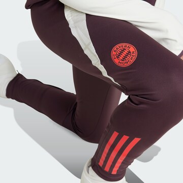 ADIDAS PERFORMANCE Tapered Sports trousers 'FC Bayern Tiro 24' in Red