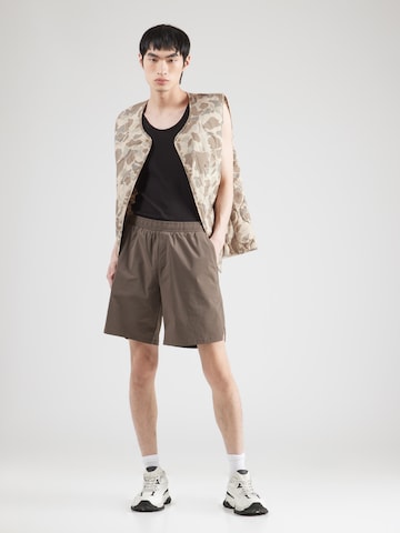 JACK WOLFSKIN - Loosefit Pantalón de montaña 'WAGAMI' en marrón