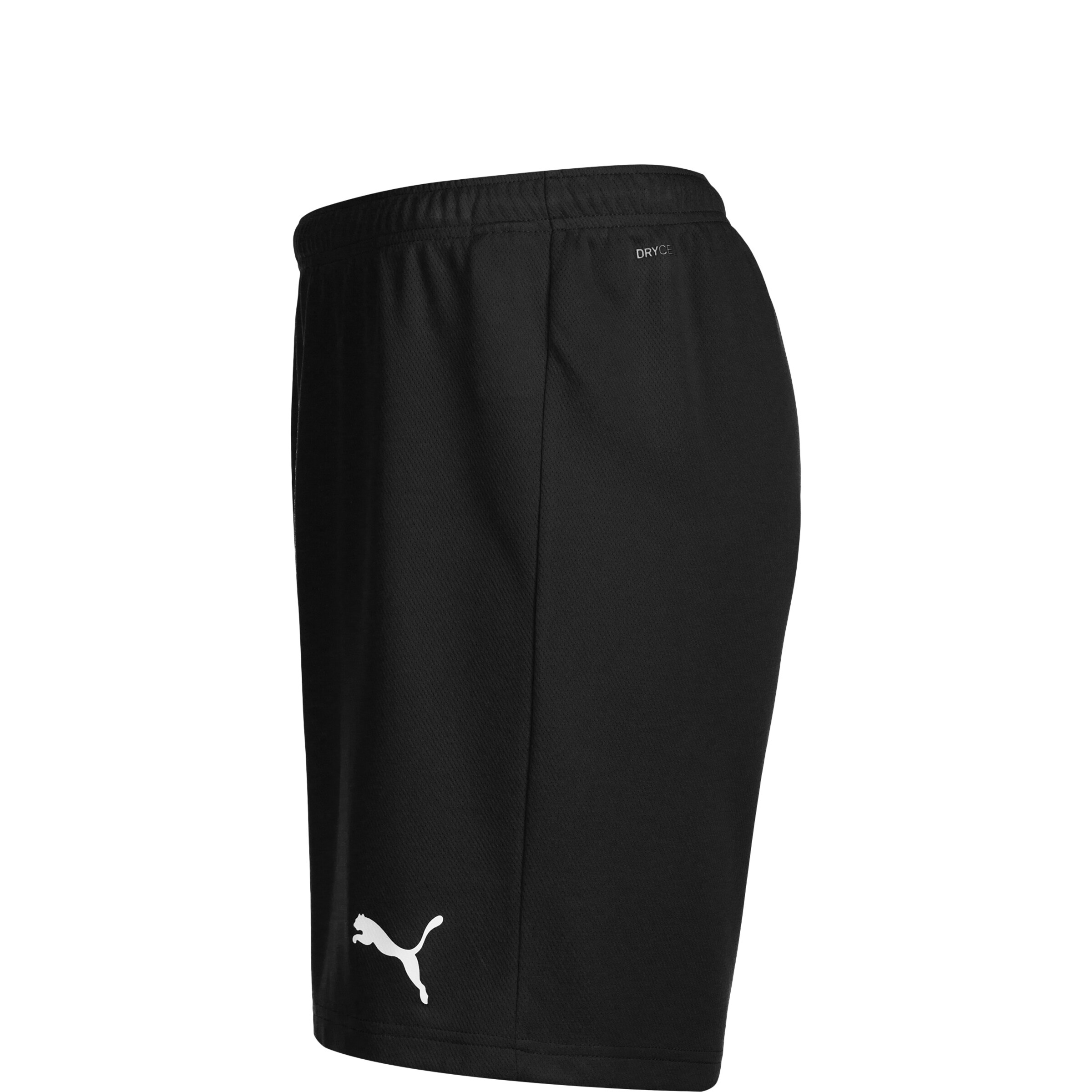 Regular Pantalon de sport 'TeamRise' PUMA en noir