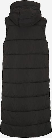 Gilet 'LIRO' Y.A.S Tall en noir