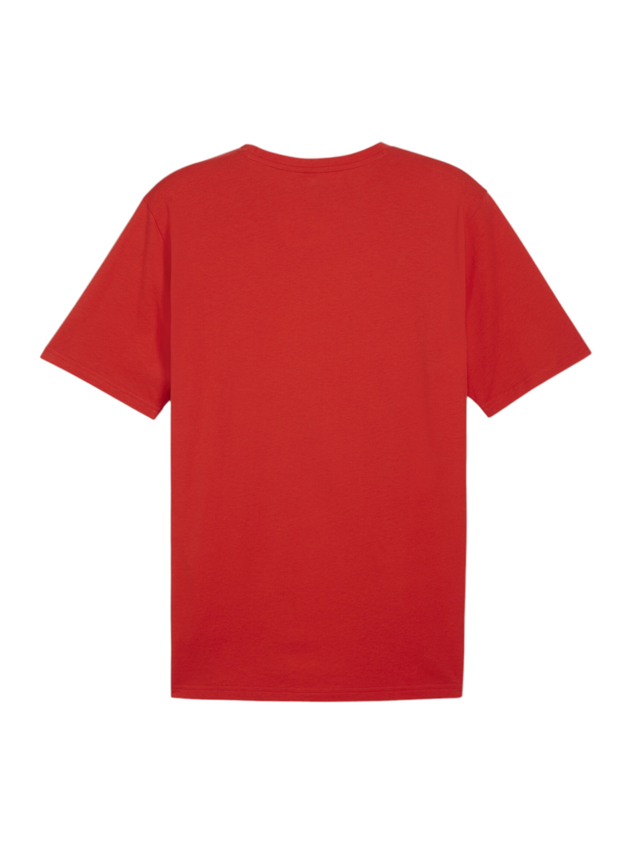 PUMA Funktionsshirt 'TeamRISE' in Rot