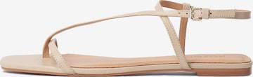 Kazar Flip-Flops i beige: forside