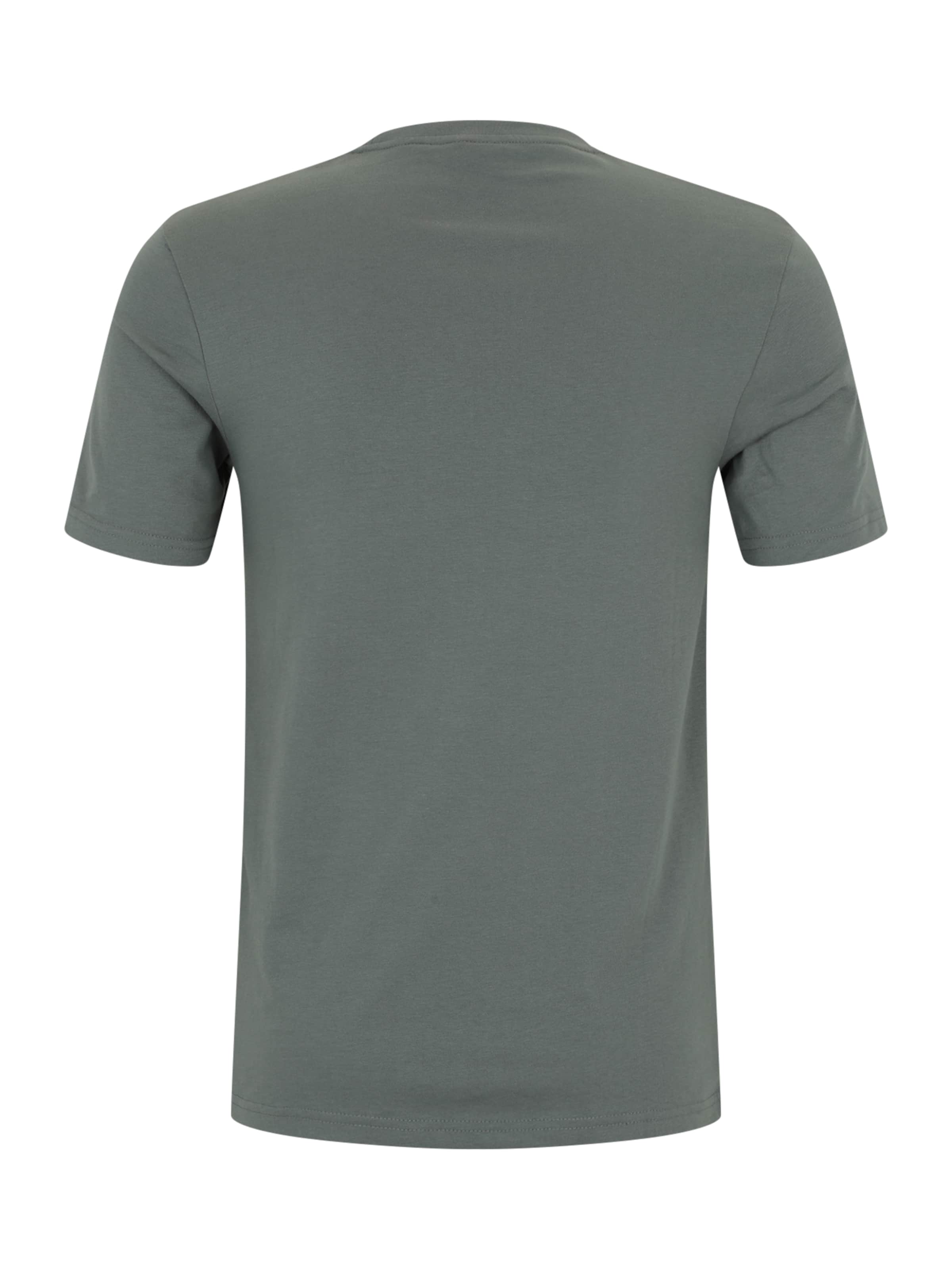 Lyle & Scott Bluser & t-shirts i grøn