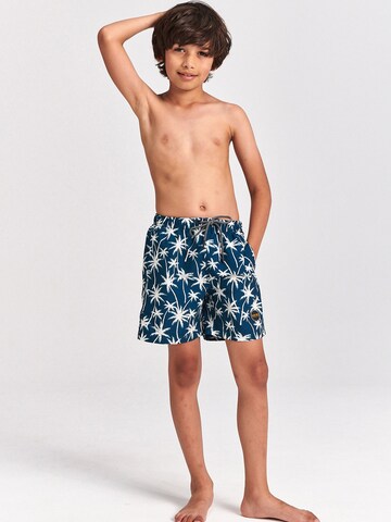 Shorts de bain Shiwi en bleu