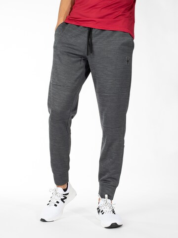 Regular Pantalon Spyder en gris : devant