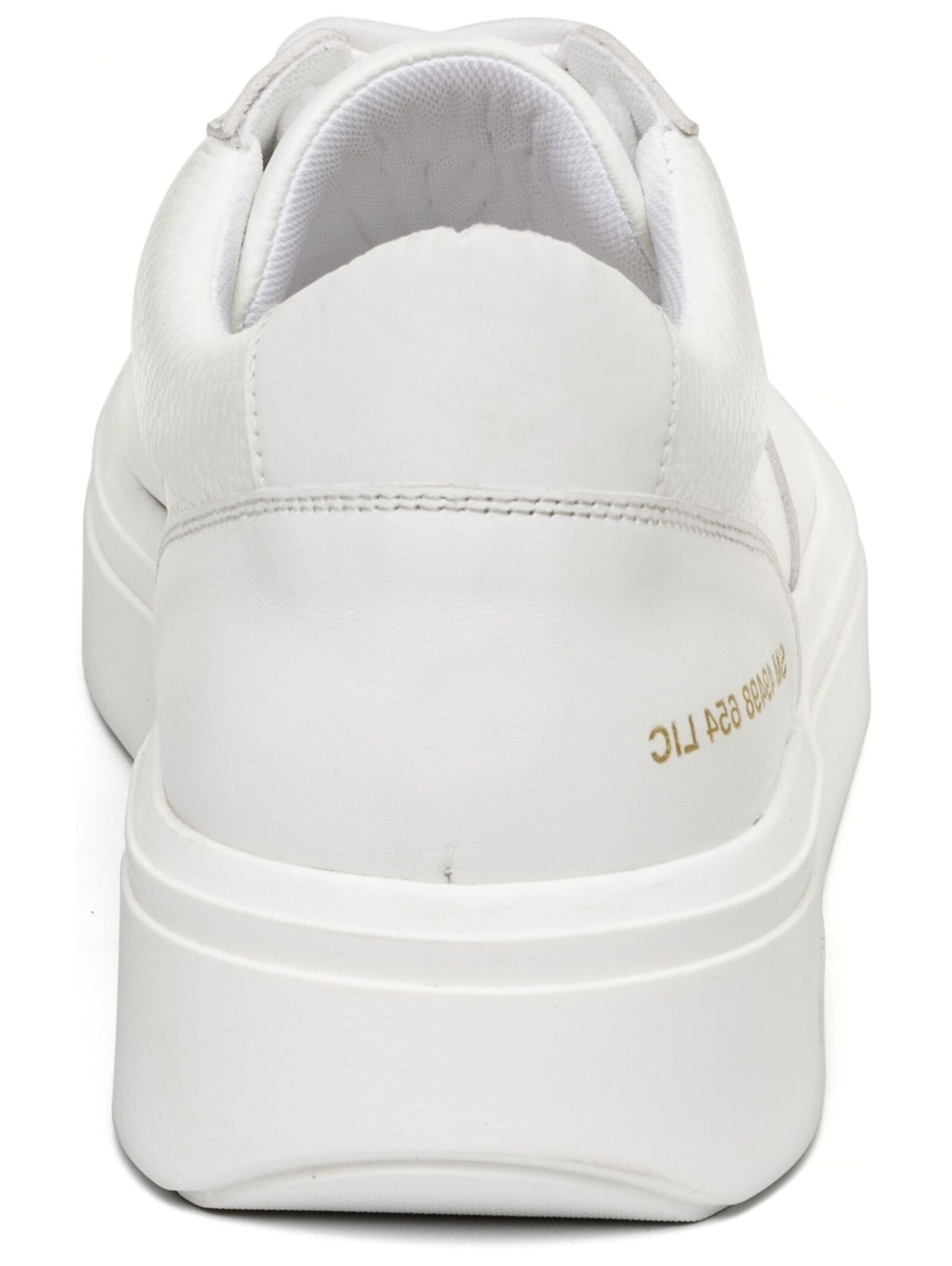 Baskets basses STEVE MADDEN en blanc