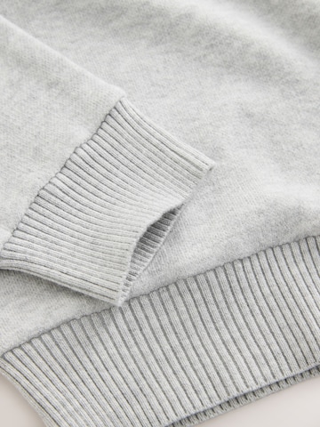 Next - Jersey en gris