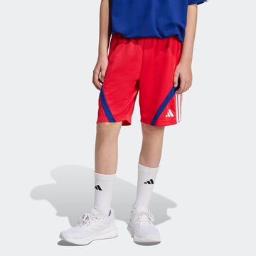 ADIDAS SPORTSWEAR Regular Workout Pants in Red: front