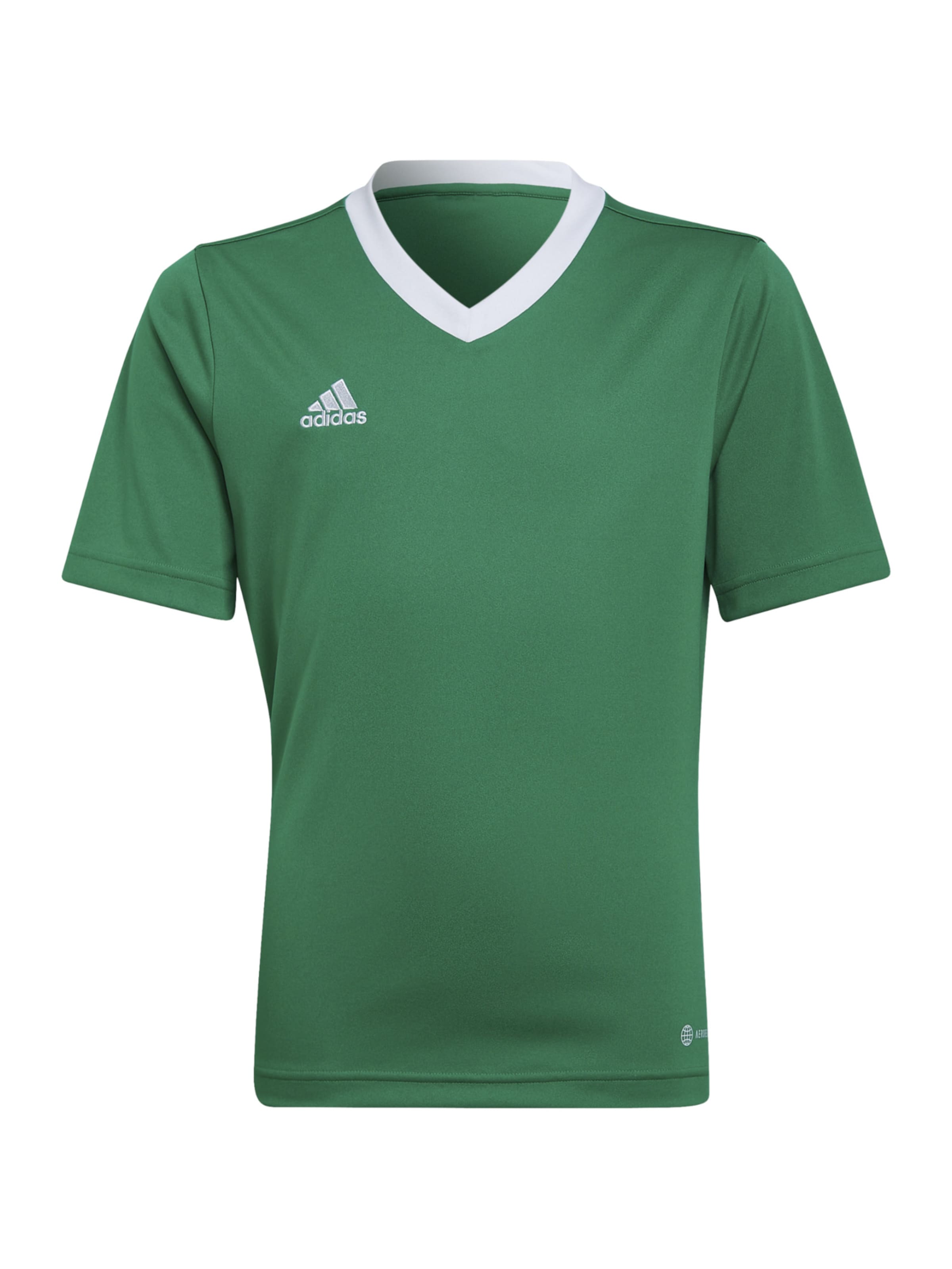 ADIDAS PERFORMANCETehnička sportska majica 'Entrada 22' - zelena boja: prednji dio