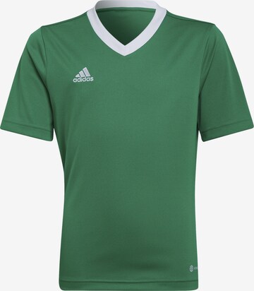 ADIDAS PERFORMANCE Sportshirt 'Entrada 22' in Grün: predná strana