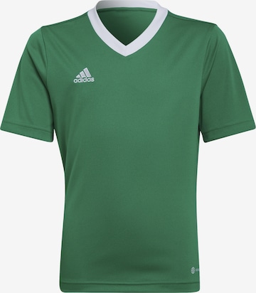 ADIDAS PERFORMANCE Performance Shirt 'Entrada 22' in Green: front