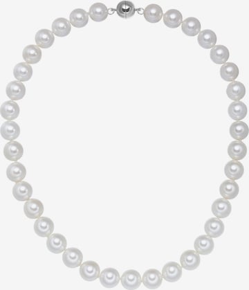 Yokoamii - Cadena en blanco: frente