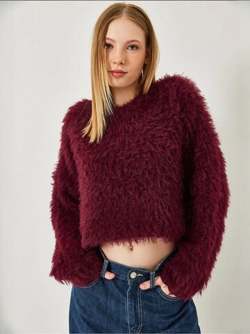 Bianco LucciPulover 'Pullover' - crvena boja