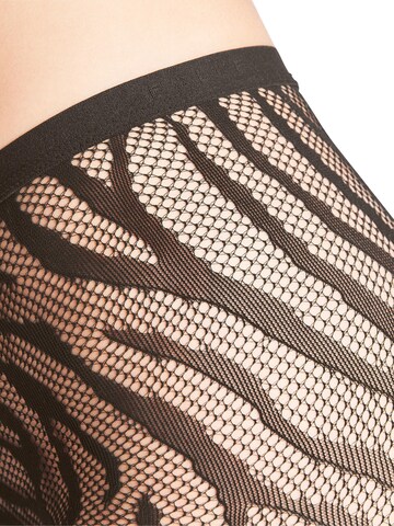 FALKE Strumpfhose 'Zebra'‌‌‌‌‌‌ in Braun